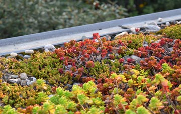 the cost of Stoer green roof installation